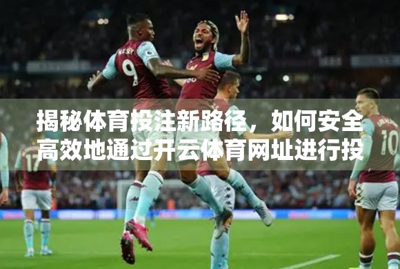 揭秘体育投注新路径，如何安全高效地通过开云体育网址进行投注？