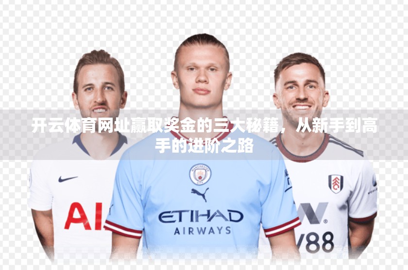 开云体育网址赢取奖金的三大秘籍，从新手到高手的进阶之路