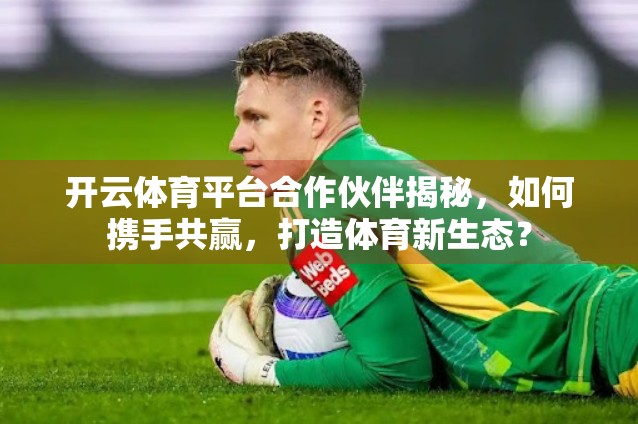 开云体育平台合作伙伴揭秘，如何携手共赢，打造体育新生态？