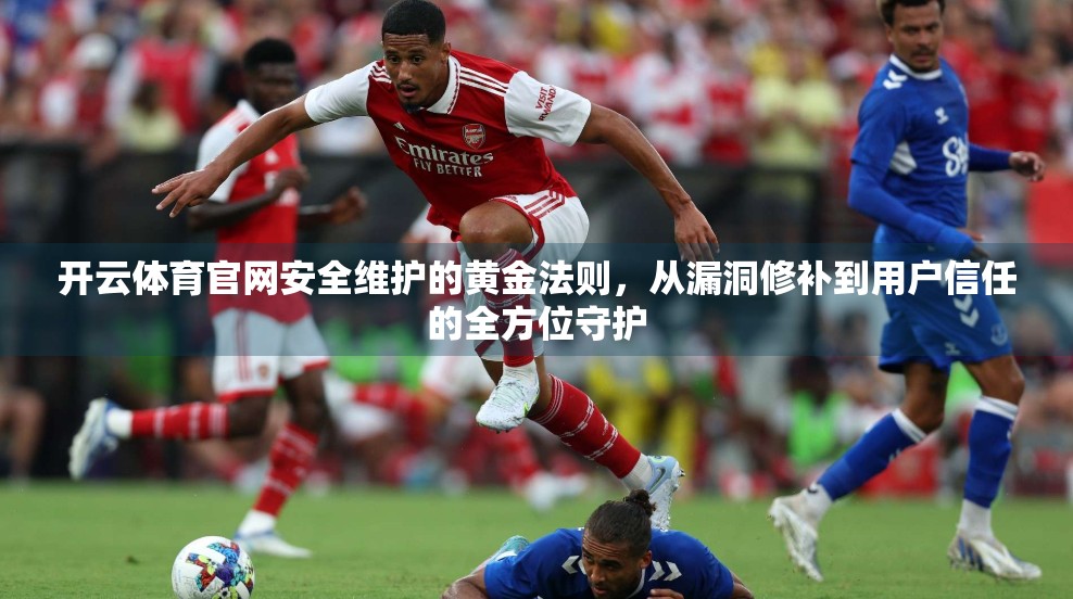 开云体育官网安全维护的黄金法则，从漏洞修补到用户信任的全方位守护