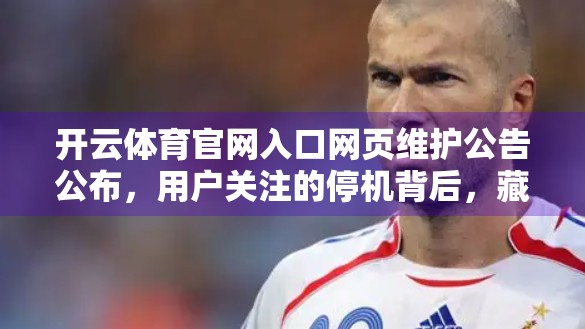 开云体育官网入口网页维护公告公布，用户关注的停机背后，藏着哪些技术与服务升级的秘密？