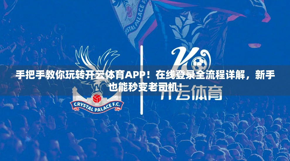 手把手教你玩转开云体育APP！在线登录全流程详解，新手也能秒变老司机！