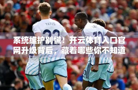 系统维护别慌！开云体育入口官网升级背后，藏着哪些你不知道的小心思？