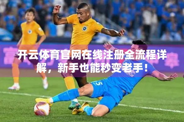开云体育官网在线注册全流程详解，新手也能秒变老手！