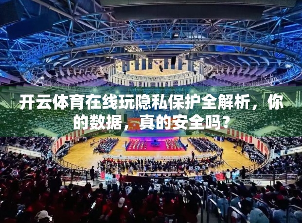 开云体育在线玩隐私保护全解析，你的数据，真的安全吗？
