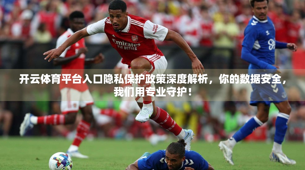 开云体育平台入口隐私保护政策深度解析，你的数据安全，我们用专业守护！