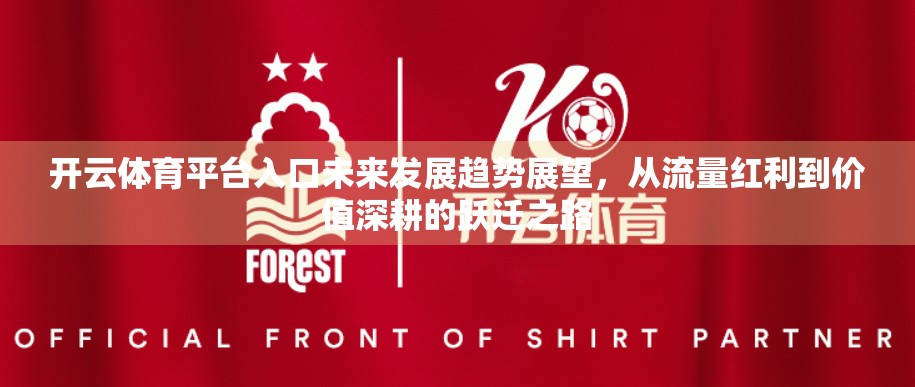 开云体育平台入口未来发展趋势展望，从流量红利到价值深耕的跃迁之路
