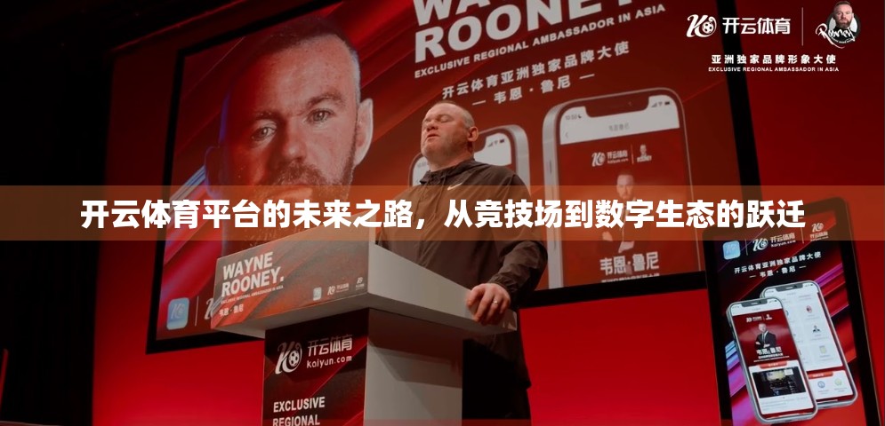 开云体育平台的未来之路，从竞技场到数字生态的跃迁