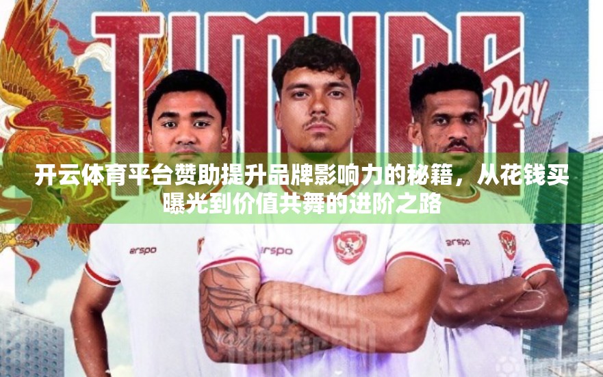 开云体育平台赞助提升品牌影响力的秘籍，从花钱买曝光到价值共舞的进阶之路