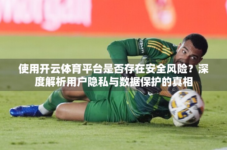 使用开云体育平台是否存在安全风险？深度解析用户隐私与数据保护的真相
