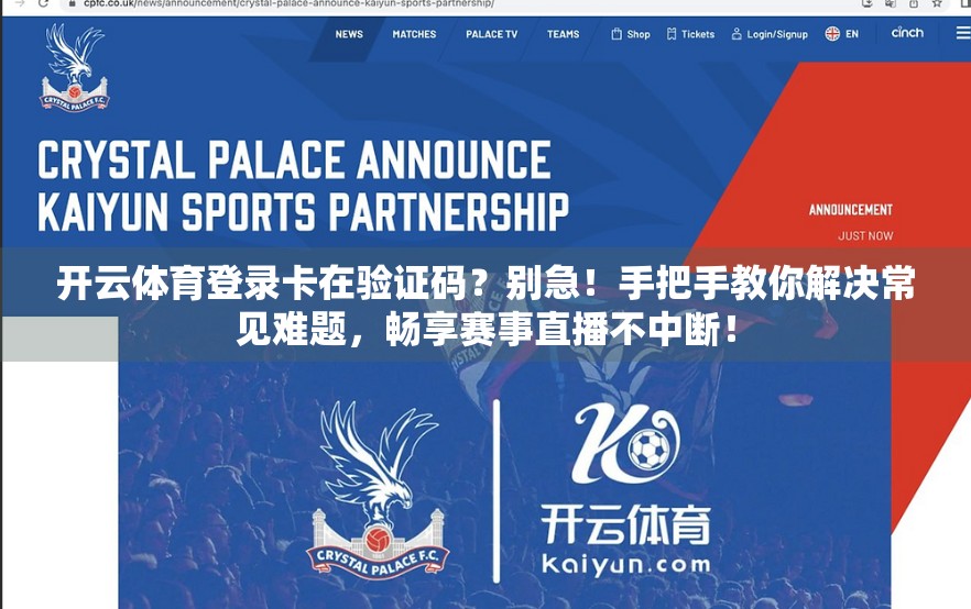 开云体育登录卡在验证码？别急！手把手教你解决常见难题，畅享赛事直播不中断！