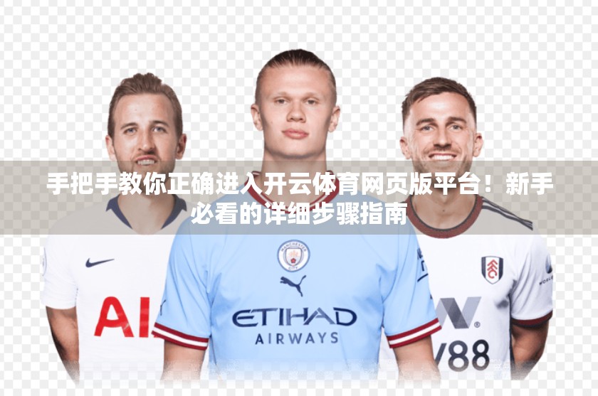 手把手教你正确进入开云体育网页版平台！新手必看的详细步骤指南