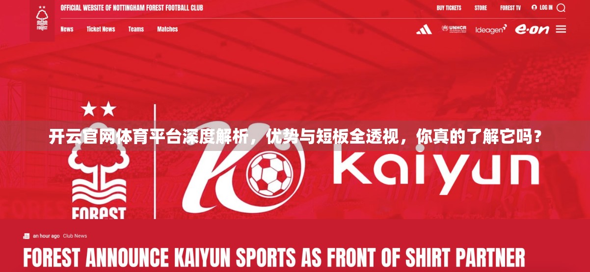 开云官网体育平台深度解析，优势与短板全透视，你真的了解它吗？