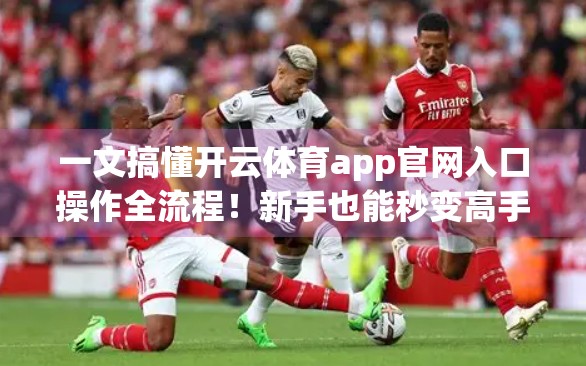 一文搞懂开云体育app官网入口操作全流程！新手也能秒变高手！