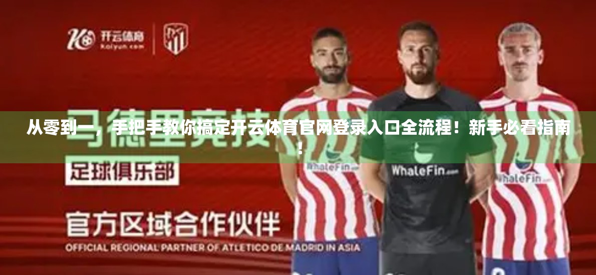 从零到一，手把手教你搞定开云体育官网登录入口全流程！新手必看指南！