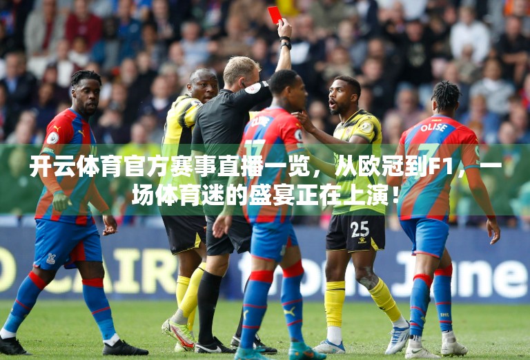 开云体育官方赛事直播一览，从欧冠到F1，一场体育迷的盛宴正在上演！