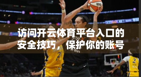 访问开云体育平台入口的安全技巧，保护你的账号与隐私，从这5步开始！