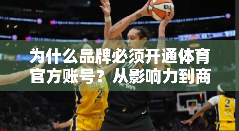 为什么品牌必须开通体育官方账号？从影响力到商业价值的跃迁之路